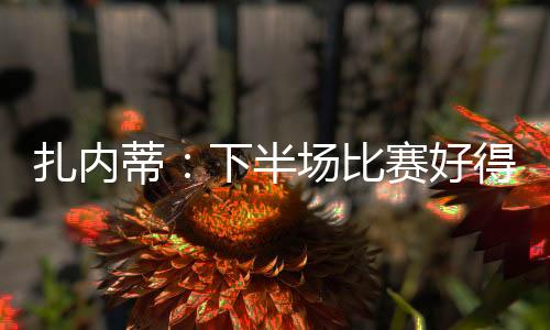 扎內蒂：下半場比賽好得多