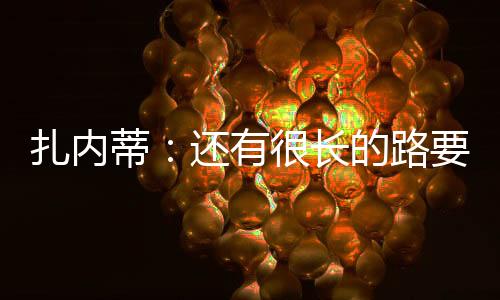 扎內蒂：還有很長的路要走