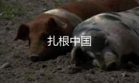 扎根中國(guó)