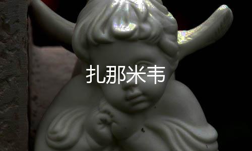扎那米韋