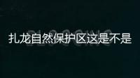 扎龍自然保護區這是不是真相?
