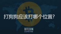 打狗狗應(yīng)該打哪個(gè)位置?？打狗狗應(yīng)該打哪些部位