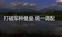 打破軍種壁壘 統一調配資源