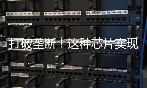 打破壟斷!這種芯片實現國產—新聞—科學網