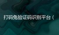 打碼兔驗證碼識別平臺（打碼兔官網登錄）