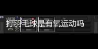 打羽毛球是有氧運動嗎 算是有氧運動
