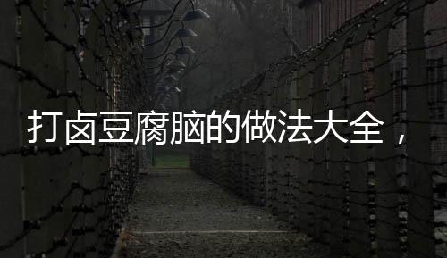 打鹵豆腐腦的做法大全，打鹵豆腐腦的做法