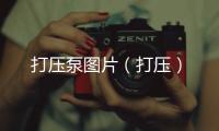 打壓泵圖片（打壓）