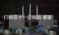 打響雙十一促銷戰 哪家櫥柜品牌“撩”到你了?