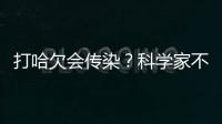 打哈欠會傳染？科學家不否認，這是人類進化的表現，不必太在意