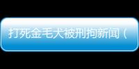 打死金毛犬被刑拘新聞（打死金毛犬被刑拘）