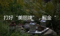 打好“美麗牌”，掘金“鄉愁里”_