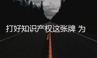 打好知識產(chǎn)權(quán)這張牌 為產(chǎn)業(yè)轉(zhuǎn)型升級鋪路