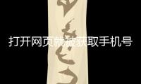 打開網頁就被獲取手機號 鄭州連夜核查315點名企業：多部門突擊
