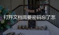 打開文檔需要密碼忘了怎么辦（文檔密碼忘了怎么打開）