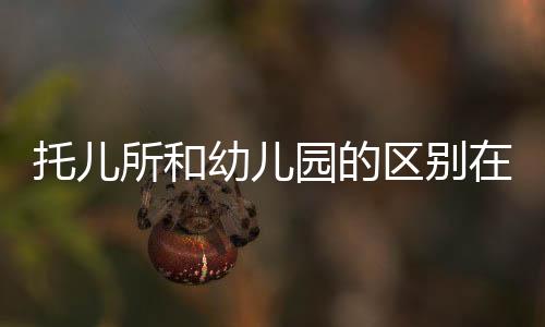 托兒所和幼兒園的區別在哪里（托兒所和幼兒園的區別）
