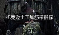 托克遜土工加筋帶指標(biāo)