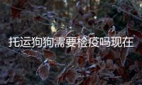 托運狗狗需要檢疫嗎現在？托運狗狗需要檢疫嗎多少錢