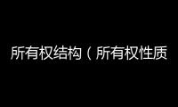所有權(quán)結(jié)構(gòu)（所有權(quán)性質(zhì)）