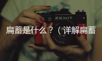 扁蓄是什么？（詳解扁蓄的特點和用途）