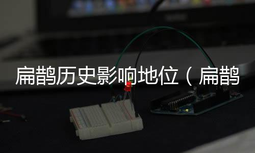 扁鵲歷史影響地位（扁鵲在歷史上有什么貢獻）
