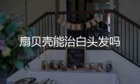 扇貝殼能治白頭發嗎