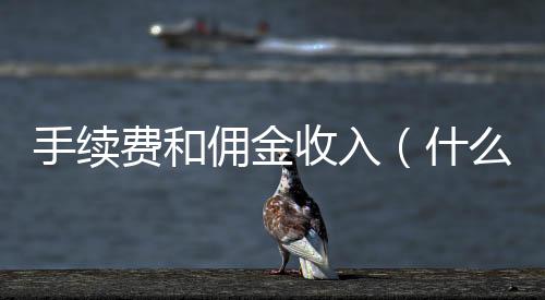 手續費和傭金收入（什么是傭金和手續費）