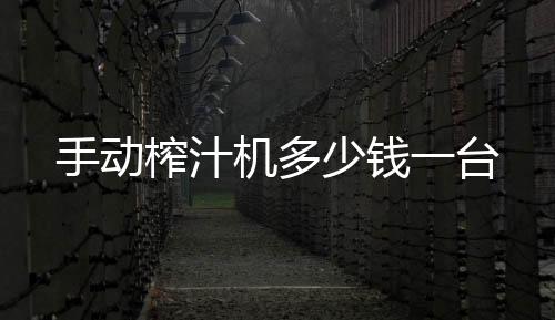 手動榨汁機多少錢一臺