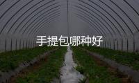手提包哪種好