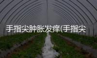 手指尖腫脹發癢(手指尖突然腫脹發癢)