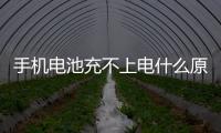 手機電池充不上電什么原因（手機充不進電的4點原因）