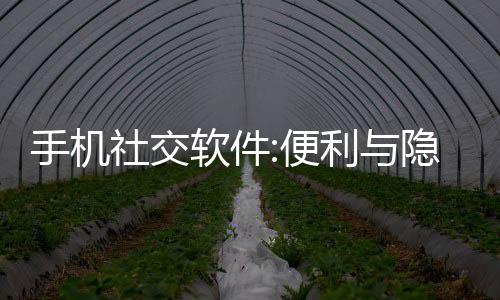 手機(jī)社交軟件:便利與隱患同在