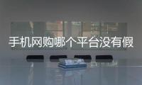 手機網購哪個平臺沒有假貨（手機網購）