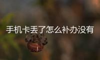 手機(jī)卡丟了怎么補(bǔ)辦沒有身份證，手機(jī)卡丟了怎么補(bǔ)辦