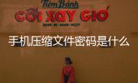 手機壓縮文件密碼是什么意思（手機壓縮文件密碼）