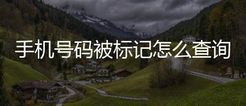 手機(jī)號(hào)碼被標(biāo)記怎么查詢是哪個(gè)平臺(tái)標(biāo)記了，手機(jī)號(hào)碼被標(biāo)記了怎么辦