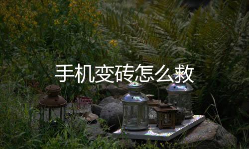 手機(jī)變磚怎么救