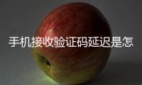 手機接收驗證碼延遲是怎么回事（手機接收驗證碼延遲）