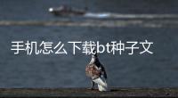 手機怎么下載bt種子文件夾，手機怎么下載BT種子文件