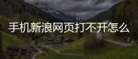 手機新浪網頁打不開怎么辦（手機新浪網頁打不開）