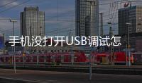 手機沒打開USB調試怎么刷機？
