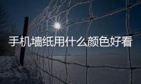手機墻紙用什么顏色好看