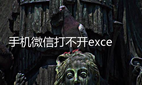 手機微信打不開excel表格是什么原因（手機微信打不開）