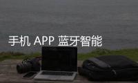 手機 APP 藍牙智能車的設計
