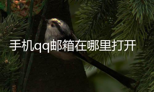 手機qq郵箱在哪里打開之前取消關注了（手機qq郵箱在哪里打開）