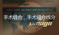 手術(shù)縫合，手術(shù)縫合線分類及性質(zhì)