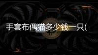 手套布偶貓多少錢一只(手套色布偶貓為什么便宜)