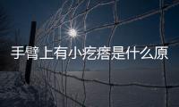 手臂上有小疙瘩是什么原因（手臂皮膚問題及解決方法）
