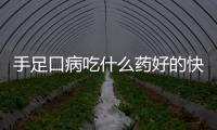 手足口病吃什么藥好的快