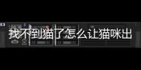找不到貓了怎么讓貓咪出來(找不到貓咪怎么辦)